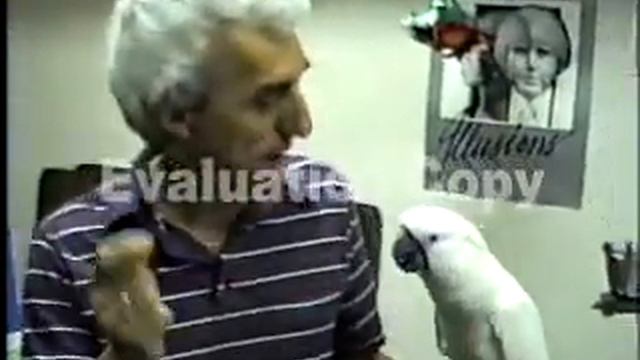 Philadelphia Magic Company смотреть онлайн