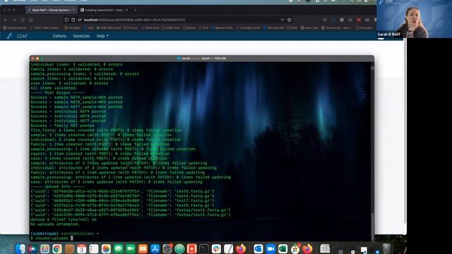 Case Submission via CLI смотреть онлайн