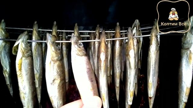 Холодное и горячее копчение рецепты