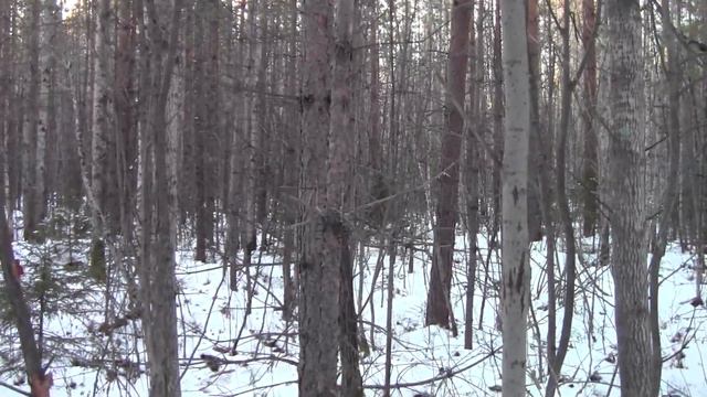 рг Раскат честно трудился 09. 12. 20 г. смотреть онлайн