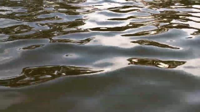 Jeux D'eau, Ravel. "Water" смотреть онлайн