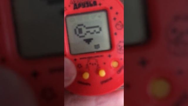 Как содержать тамагочи , секретный код смотреть онлайн