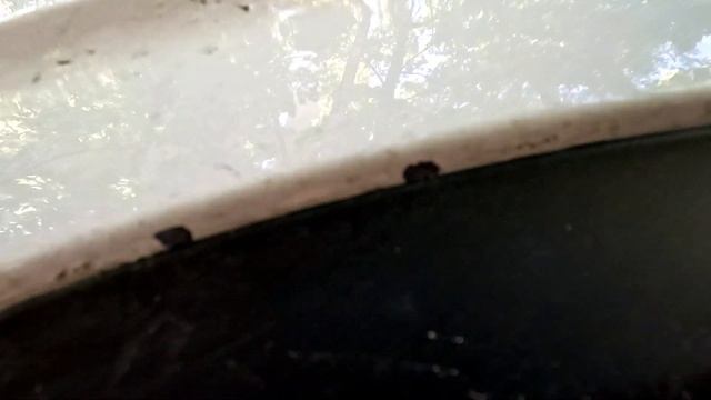 GEELY COOLRAY УСТРАНЕНИЕ БРАКА ПОКРАСКИ У ДИЛЕРА ПО ГАРАНТИИ / НОВАЯ РЖАВЧИНА И ОТКАЗЫ В ГАРАНТИИ смотреть онлайн