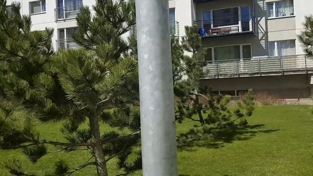Экскурс: Муниципальные и социальные квартиры в Таллинне смотреть онлайн