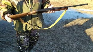 ТОЗ-87-01 нестреляный 98г.знакомство