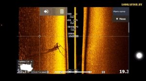 Разбор показаний эхолота Lowrance Elite FS. Скриншоты Elite FS 9 от Lodkafish