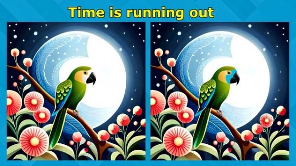 Quick Challenge for Observation: Find 3 Differences in 90 Seconds | Task #40