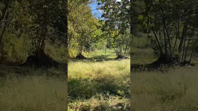Хочу жить в деревне/ дом в Италии смотреть онлайн