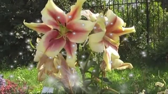 Музыка для души. Гитара. Посвящаю внучке...