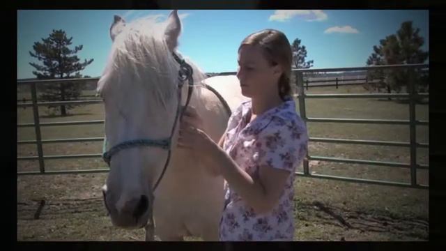 How To Bathe Your Horse смотреть онлайн