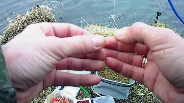 Рыбалка 03.04.2020 река Упа Тульская область рыб БАСТУЕТ ,но не весь. смотреть онлайн