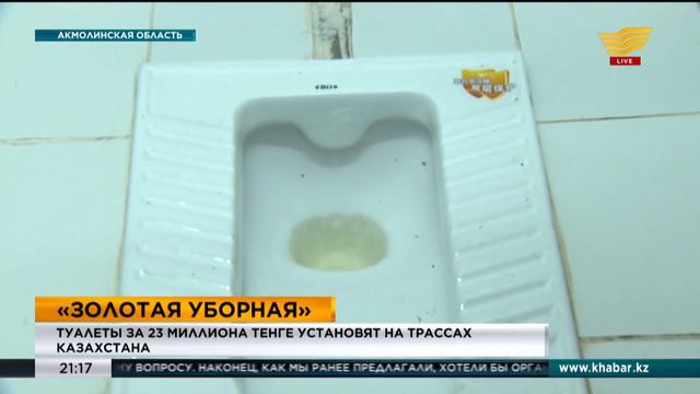 Туалеты за 23 миллиона тенге установят на трассах Казахстана смотреть онлайн