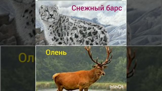 "День Знаний". 3 класс 1 сентября 2020 г. онлайн смотреть онлайн