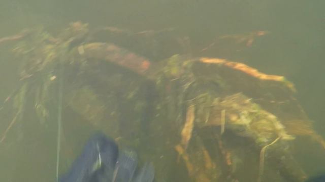 ЗОЛОТОЕ ДНО / ГОРБУША-ЗОМБИ / GOLDEN BOTTOM / PINK SALMON-ZOMBIE смотреть онлайн