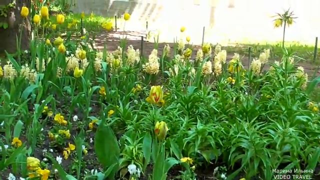 Фестиваль тюльпанов на Елагином острове. Санкт Петербург. смотреть онлайн