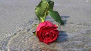 СВЕТЛАНА ПИТЕРСКАЯ - КОНТРОЛЬНЫЙ ВЫСТРЕЛ - НУ ТАКАЯ КРАСИВАЯ ПЕСНЯ!