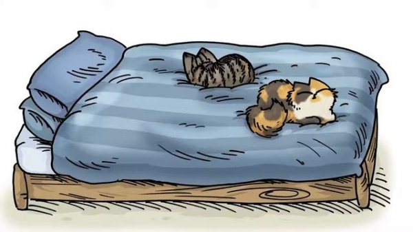 Cat saimon .кот Саймон