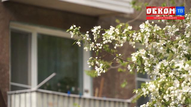Хроника дня. С заботой о дворах Омска. 20.05.2022 смотреть онлайн