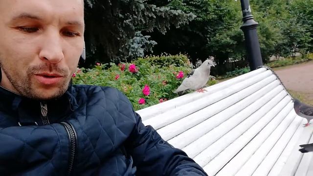 ПИТЕР.ЛУЧШИЕ ПАРКИ РОССИИ.ДРЕССИРОВКА ПТИЦ.ПЕРНАТЫЕ ДРУЗЬЯ смотреть онлайн