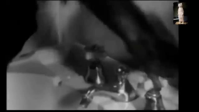 Как обезьяна помыла кота! Нереально смешно!Like a monkey washed the cat! Unreal funny! смотреть онлайн