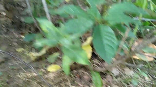Выехала на природу.Дача смотреть онлайн