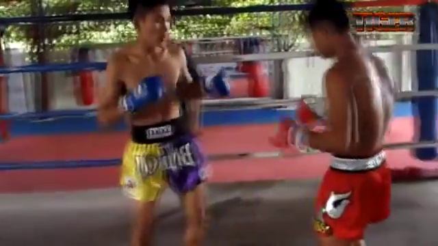 Техника тайского бокса от тайцев. Тренировка часть 2 Тай пад. смотреть онлайн