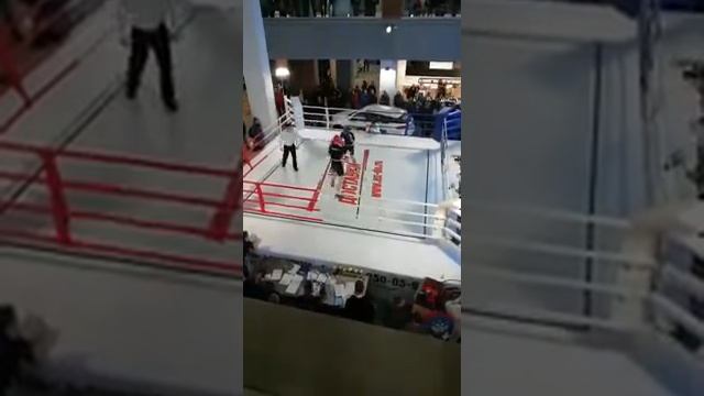 Бокс. Начало смотреть онлайн