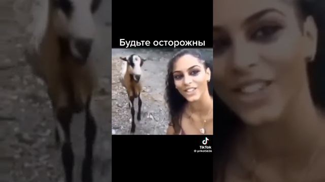 Нежданчик 😂 смотреть онлайн