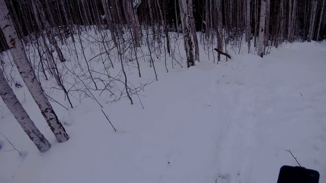 Январское хождение