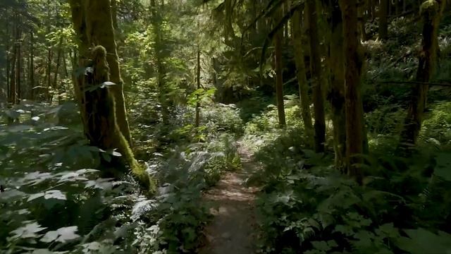 Книга - Напоминание о тебе (Виталий Ульянов, озв: NikOsho) смотреть онлайн