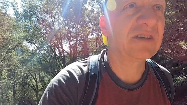 Приключения в горах Лос-Анджелеса￼! Мы нашли ЯДОВИТЫЙ ДУБ￼ смотреть онлайн
