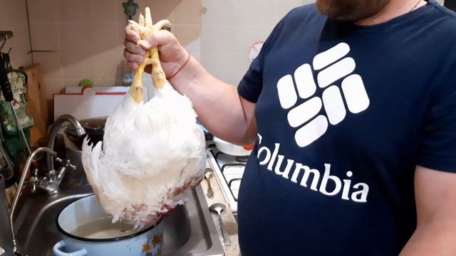 Вес бройлера в 47 дней. Забой бройлера!