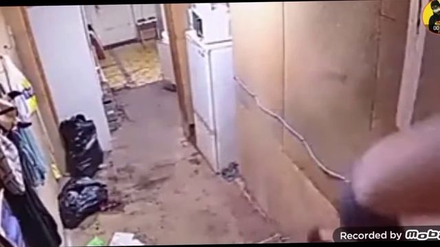 странная лестница с которой все падают смотреть онлайн