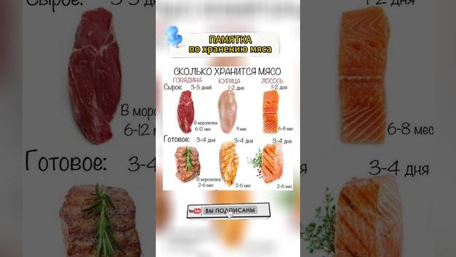 Сколько Хранится Мясо #shorts смотреть онлайн