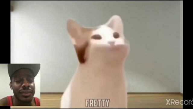 THIS IS WAY TOO FUNNY 😂😂| Pop Cat Meme Compilation Reaction смотреть онлайн