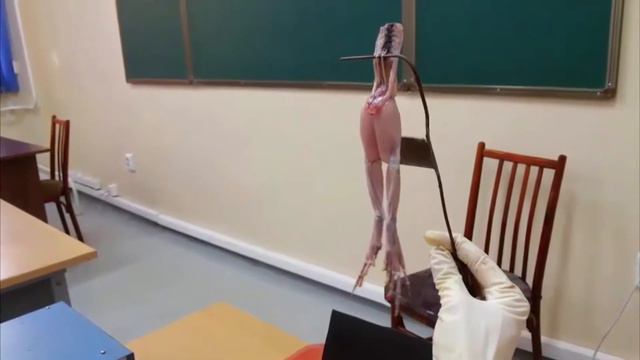 Опыт Гальвани смотреть онлайн