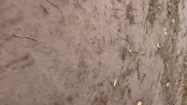Скрытая камера .Расставались с сожалением 2012-08-25 14:59:55 смотреть онлайн