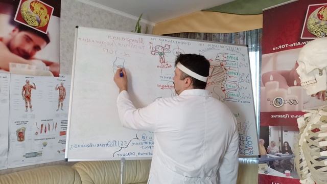 Основы, мы приступаем к изучению Мануальной терапии и Костоправства.