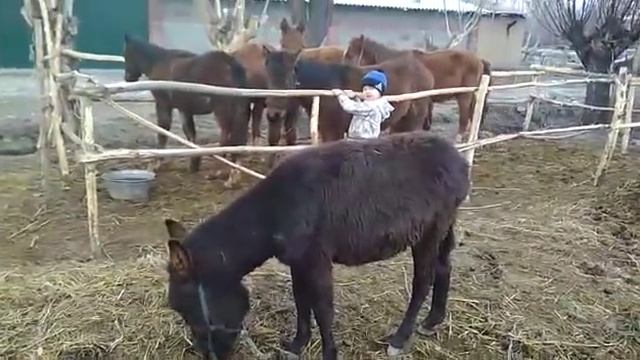город Ош "Узген" смотреть онлайн