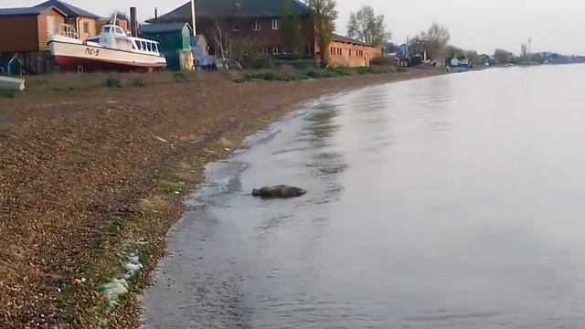 Ейск 💝 Утренний релакс !) смотреть онлайн