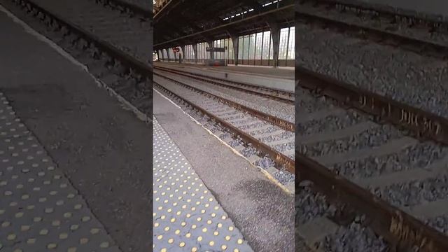 Электропоезд ласточка ЭС2Г 156 с сообщением Калининград Зеленоградск на станции Калининград южный смотреть онлайн