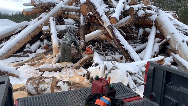 FIREWOOD STARTER!!! THE BEST FROM THE NORTH WEST!!! Pitch aka fat wood! ? ? ? ? ❄️ смотреть онлайн