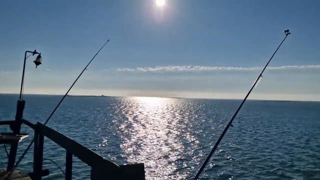 Рыбалка в Каспийском море смотреть онлайн