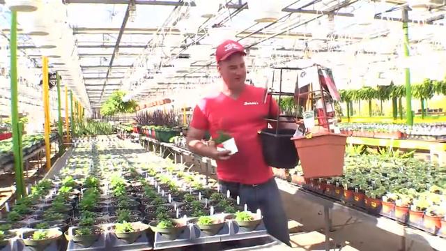 Dutch & Olgas Greenhouse смотреть онлайн