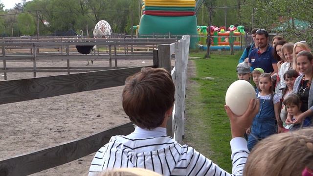 Страусиная ферма / Ostrich Farm - Kyiv, Ukraine смотреть онлайн
