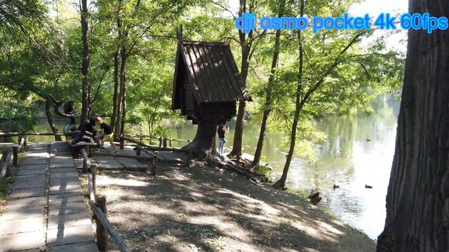 #dji osmo pocket актуально ли ещё в 2022? тест 4к 60fps смотреть онлайн