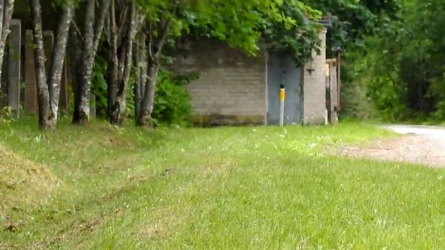 Nikon COOLPIX P900 83x optical MEGA zoom test - video test смотреть онлайн
