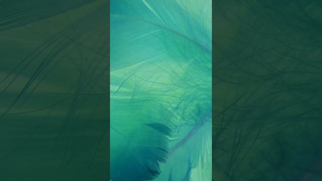 056. Качества Пророка ﷺ Хадисы, о том, что перстень был на правой руке. смотреть онлайн