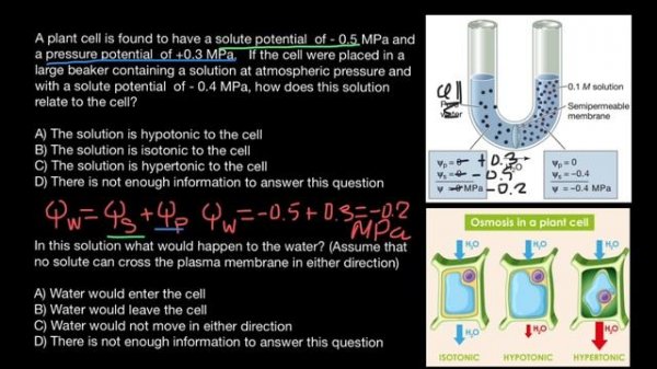 How to solve Water Potential problems