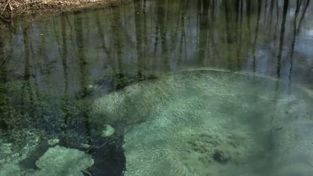 Справочник туриста (Санатории Чувашии, Марий Эл) смотреть онлайн